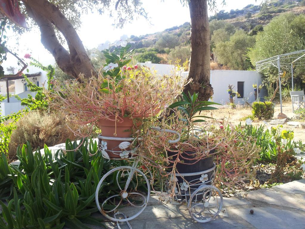 Ostria Studios Platis Gialos  Εξωτερικό φωτογραφία