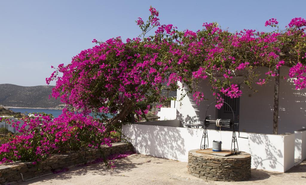 Ostria Studios Platis Gialos  Εξωτερικό φωτογραφία